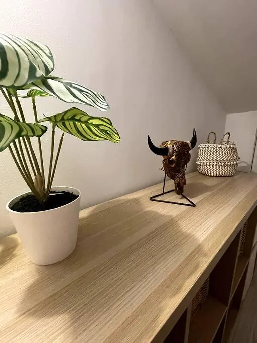 Apartment Magnifique Duplex Avec Terrasse Proche De La Plage Malaga