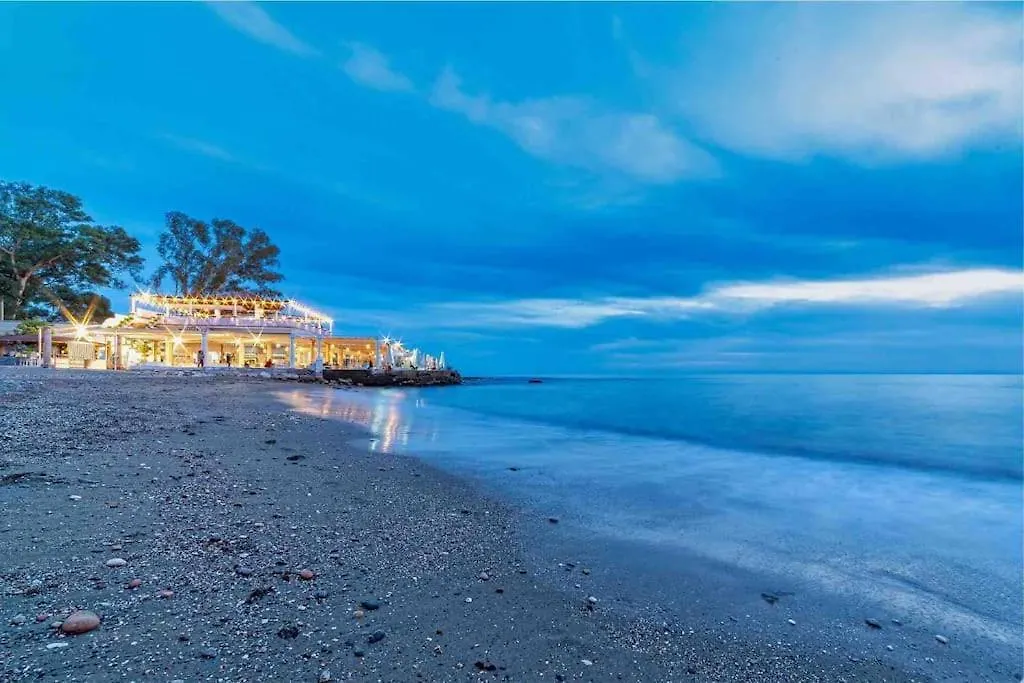 Magnifique Duplex Avec Terrasse Proche De La Plage location